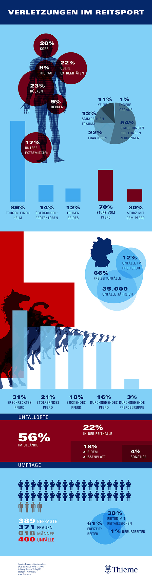 Infografik: Verletzungen im Reitsport